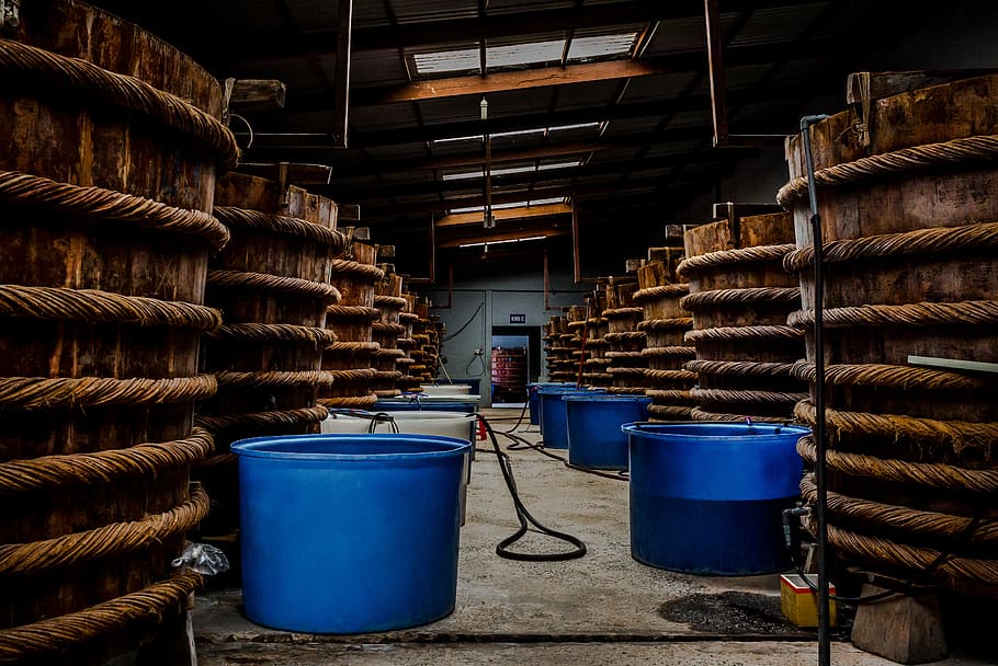 tanks, sauce fish, interior, light, water, wood, bamboo, large group of objects HD wallpaper