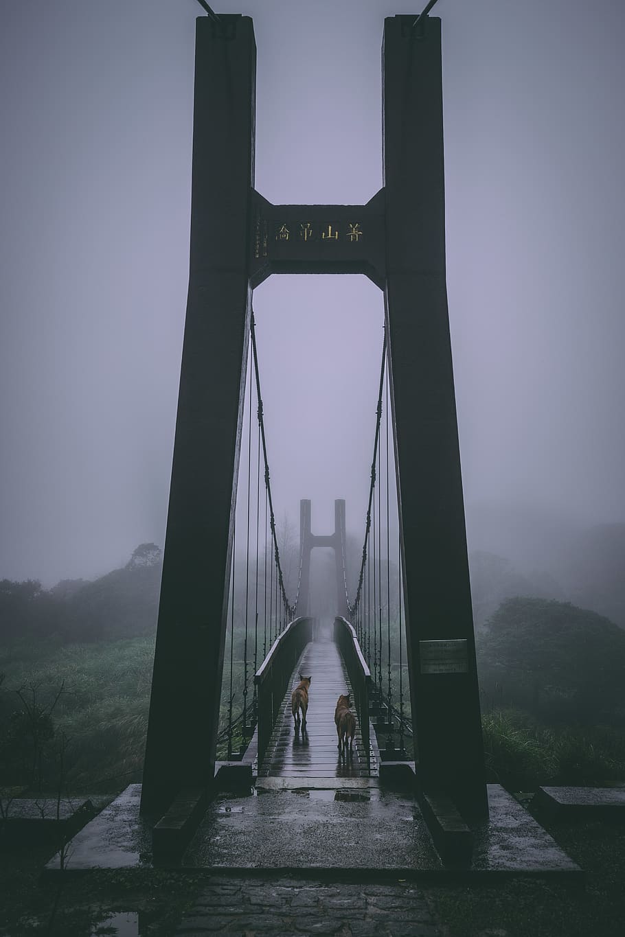 Black bridge, building, handrail, banister, suspension bridge, HD wallpaper