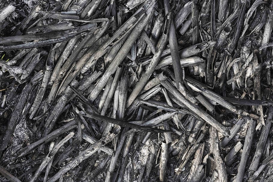 straw, burn, burned, ash, fire, agriculture, charred, deleted HD wallpaper