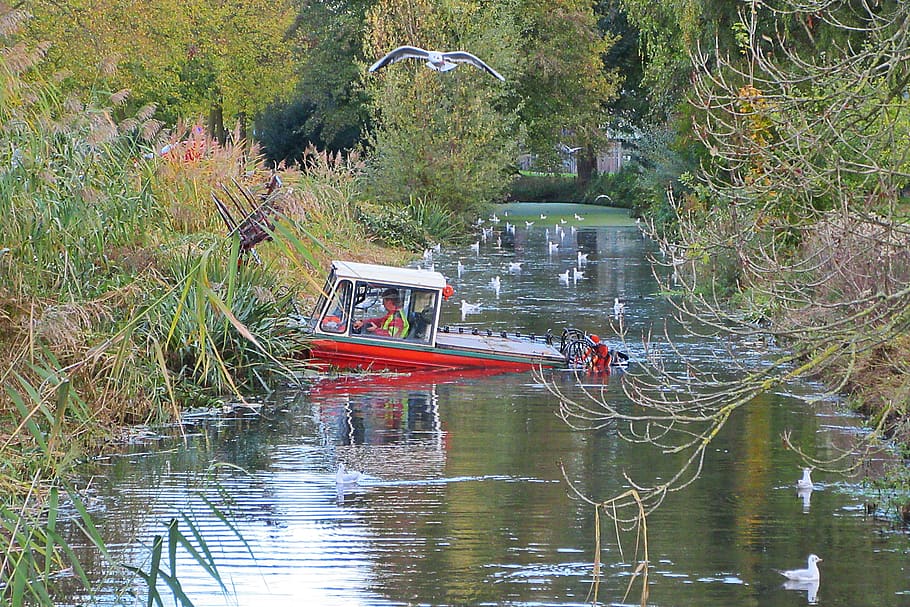 canal, water, cleaning, machine, environment, pond, seagulls HD wallpaper