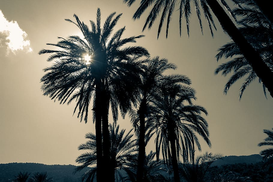 morocco, paradise valley, marrocos, paradisevalley, sunshining, HD wallpaper