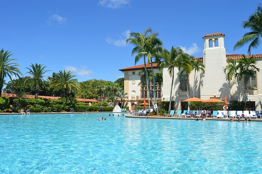pool, florida, usa, hotel, biltmore hotel, huge pool, johnny weißmüller HD wallpaper
