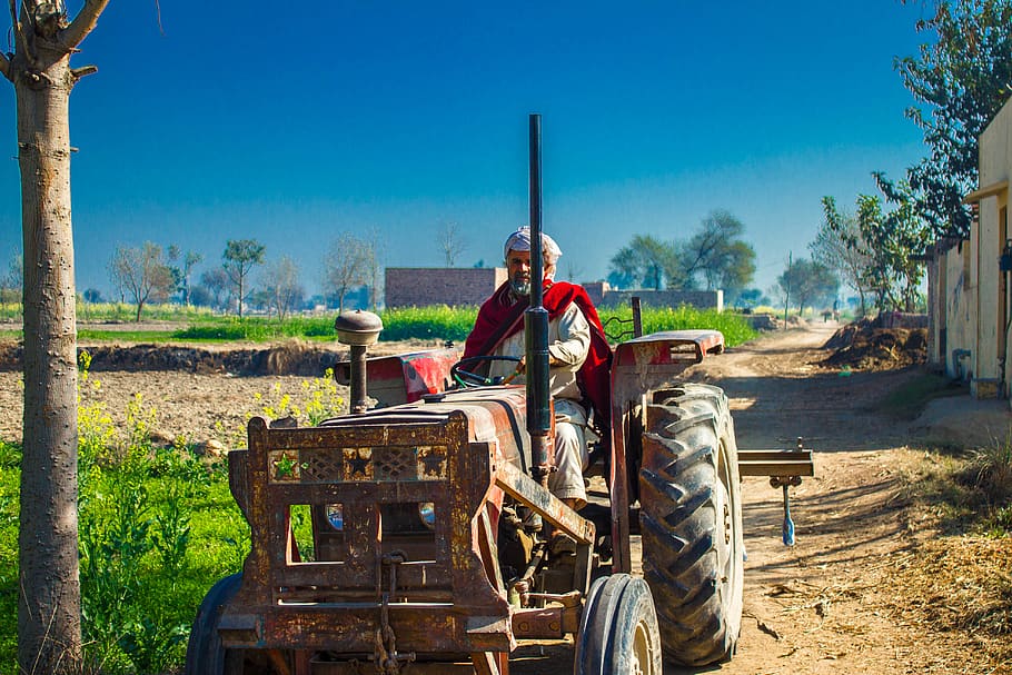 village area, trees, fields, hard workers, villiger, farmer HD wallpaper