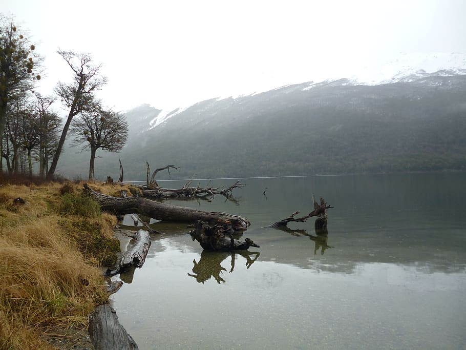 water, fog, scenics - nature, reflection, beauty in nature HD wallpaper