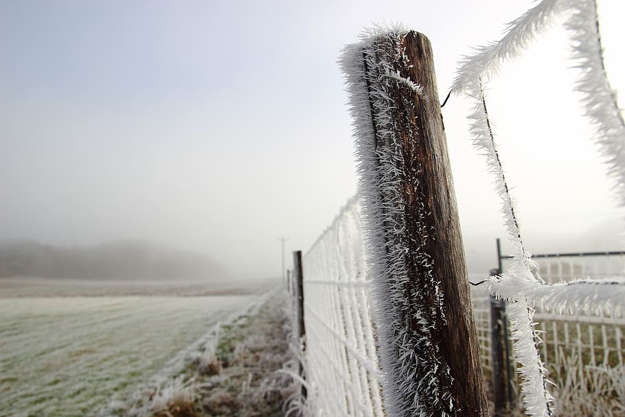 winter, ice, cold, frost, crystals, wintry, landscape, fence HD wallpaper