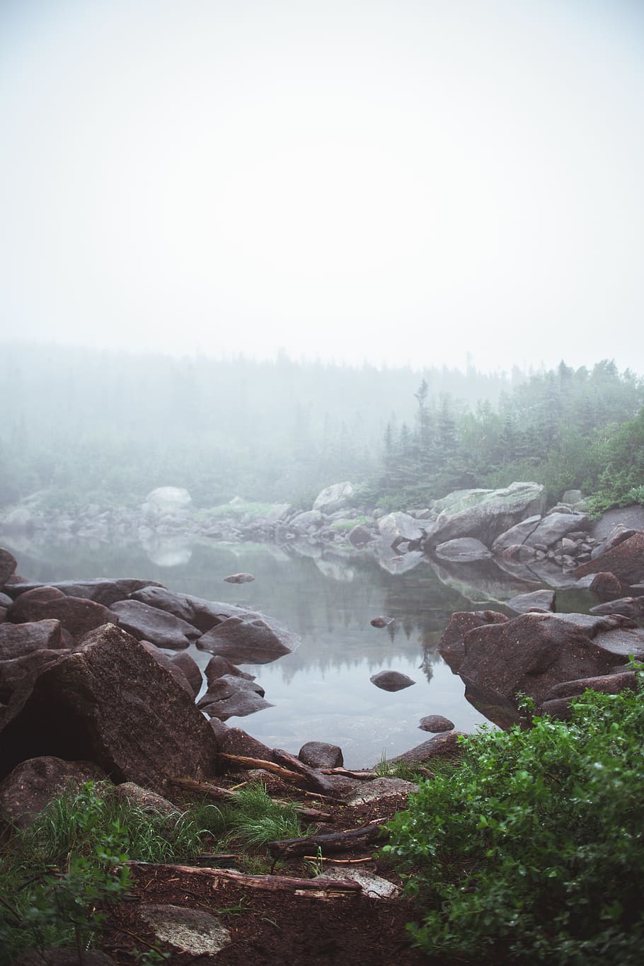 nature, natural, lake, forest, mountain, maine, rocks, pond, HD wallpaper