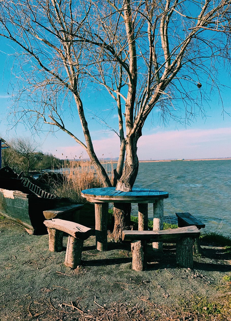 lake, nature, blue, water, tree, seat, plant, tranquility, bench HD wallpaper
