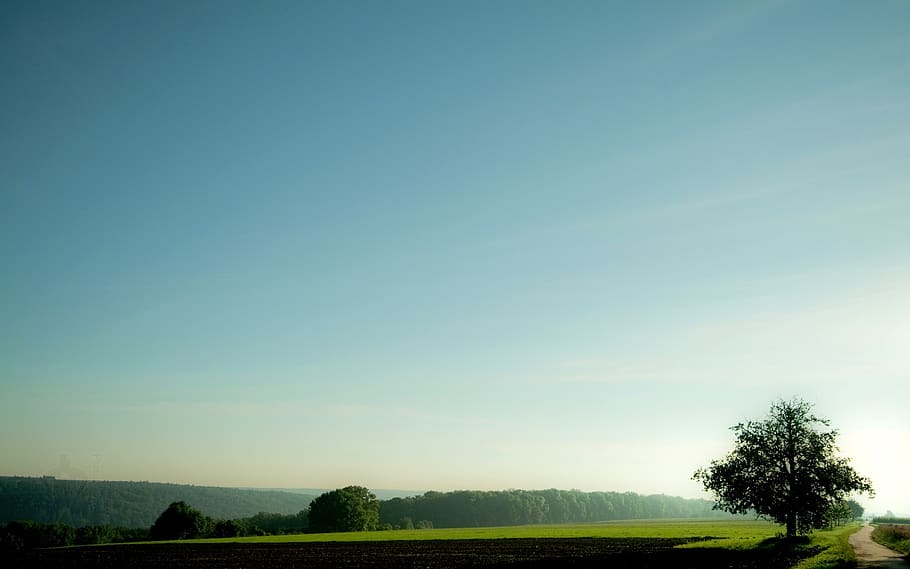 landscape, farmland, tree, sky, plant, beauty in nature, scenics - nature HD wallpaper