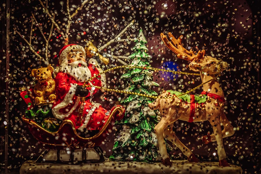 Santa Claus riding sleigh holding rope of reindeer figurine, tree, HD wallpaper