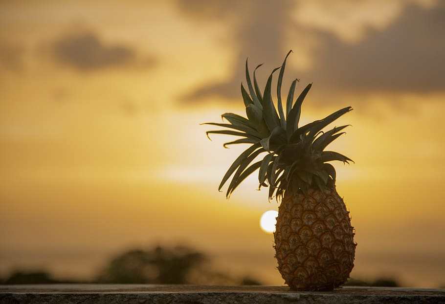 dominica, portsmouth, sunset, pineapple, golden hour, caribbean, HD wallpaper