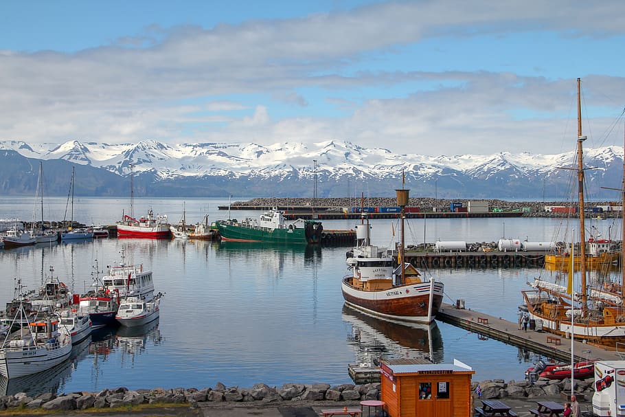 husavik, iceland, port, boats, landscape, ship, sea, side, arctic, HD wallpaper