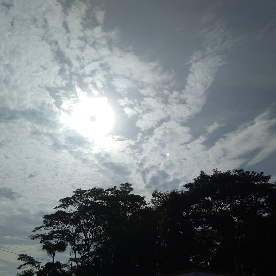 indonesia, cirebon, sky, cloud - sky, tree, plant, low angle view HD wallpaper