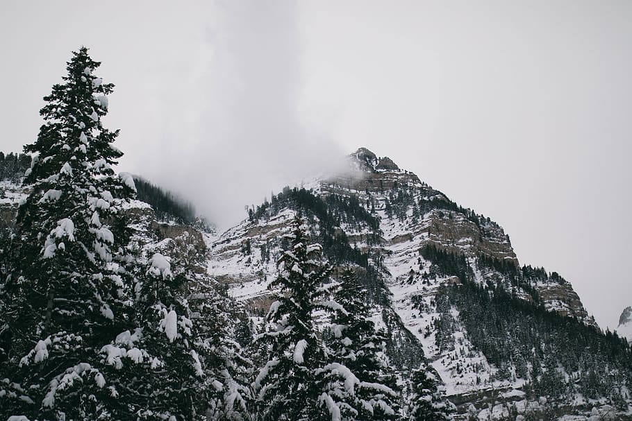 view of mountain, everydayproject, eachdayaphoto, warm, warmandwander HD wallpaper