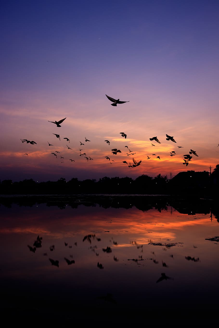 Silhouette of Mountain and Birds, animals, backlit, blue, clouds HD wallpaper