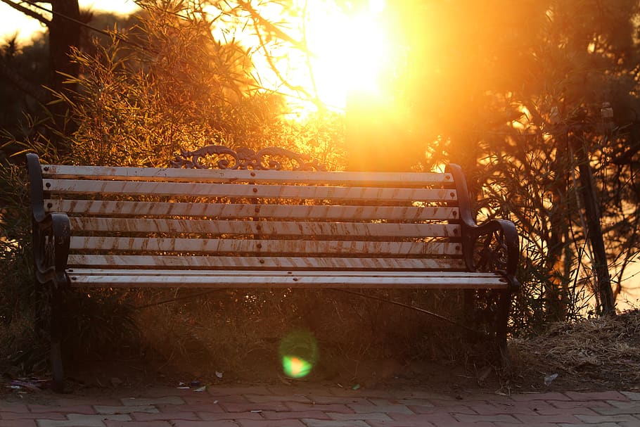 Brown Metal-framed Bench Surrounded by Trees, bright, dawn, daylight HD wallpaper