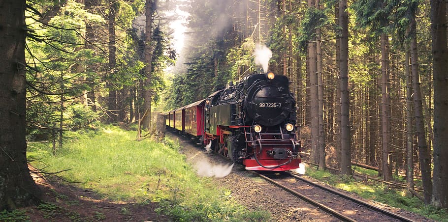 germany, wernigerode, brocken, railway, steam engine, train, HD wallpaper