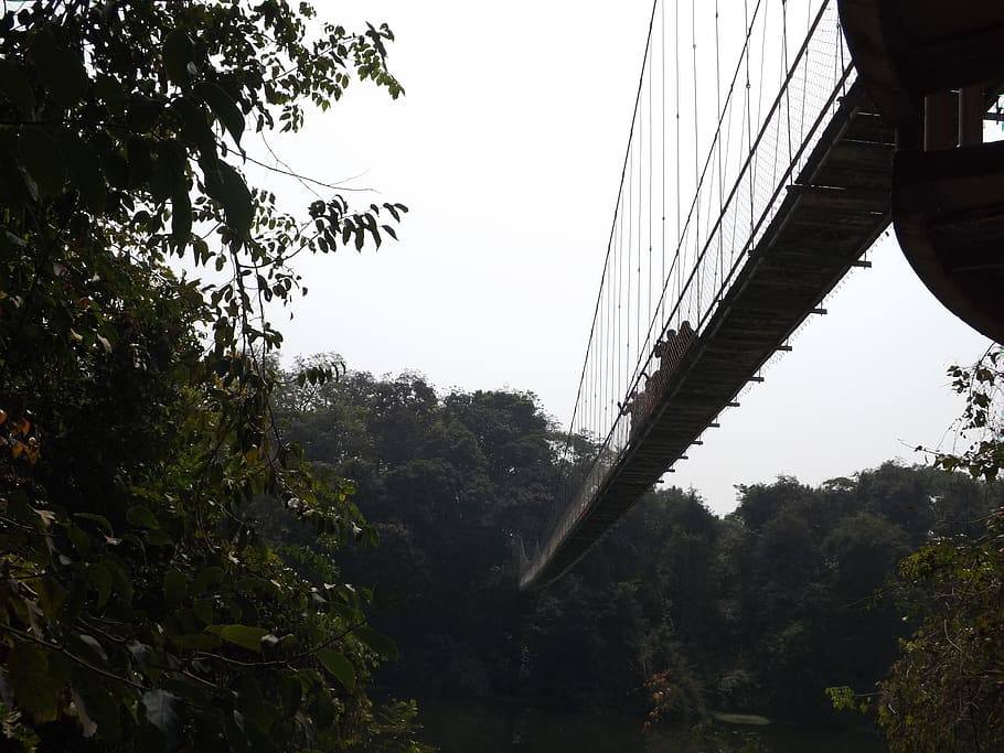 india, nilambur, bridge, bridge - man made structure, connection HD wallpaper