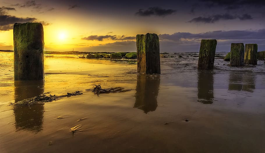 Green Stones Surrounded With Mud, backlit, beach, clouds, dawn HD wallpaper