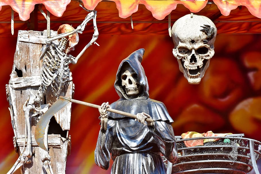 skeleton, bone, skull, head, ghost train, folk festival, oktoberfest, HD wallpaper