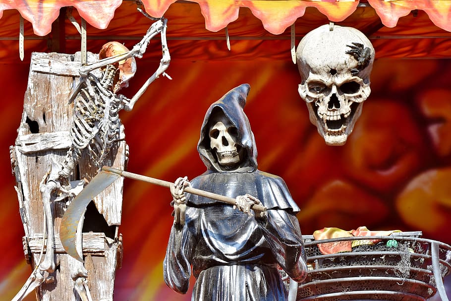 skeleton, bone, skull, head, ghost train, folk festival, oktoberfest HD wallpaper