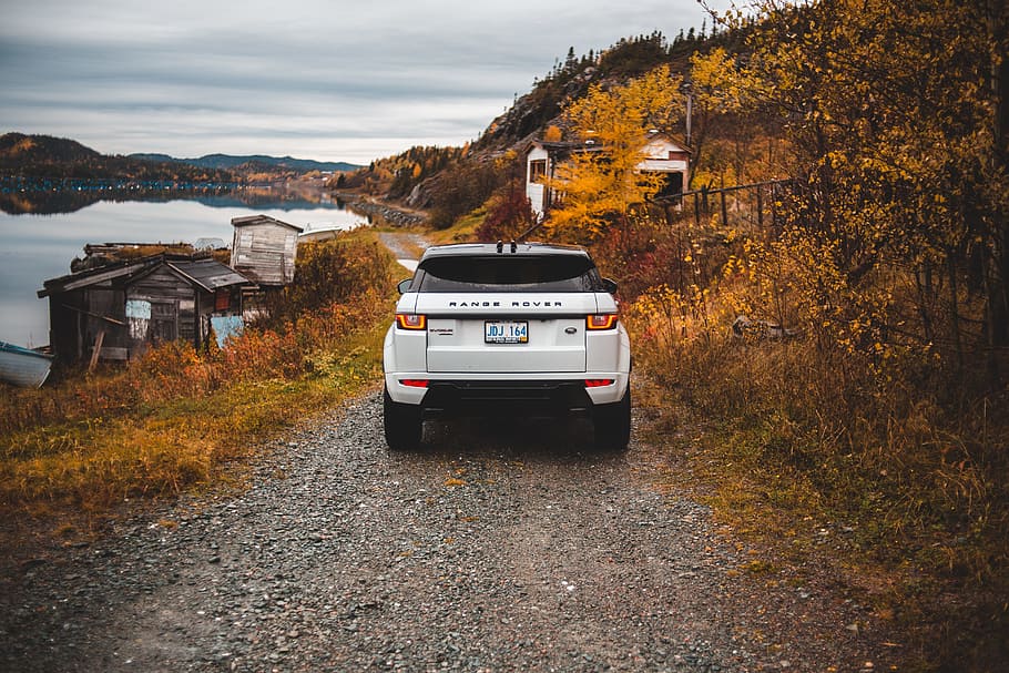 white vehicle on dirt road, car, path, autumn, fall, leaf, leaves HD wallpaper