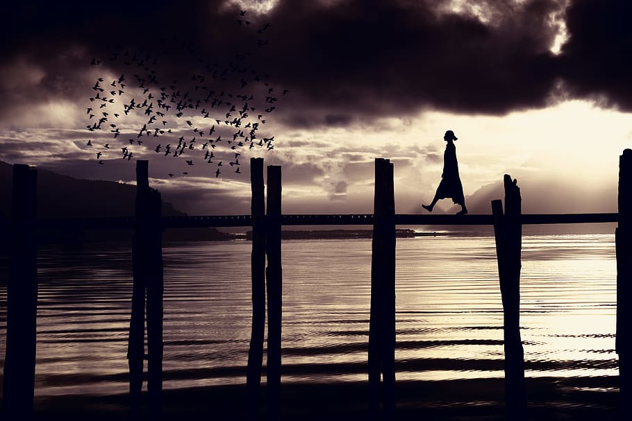 strolling, bridge, sunset, lake, grey-and-white, bird, sky HD wallpaper
