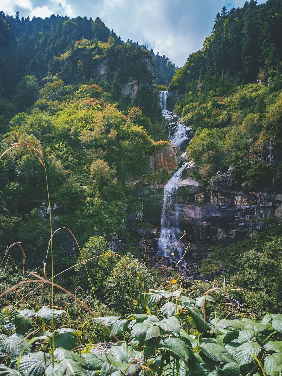 turkey, rize, forest, landscape, waterfall, nature, green, trees HD wallpaper