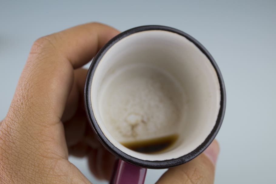 Person Holding Empty Teacup, caffeine, ceramic cup, close-up HD wallpaper