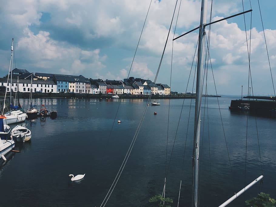 ireland, galway city, boat, house, river, duck, sea, water