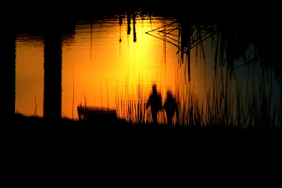 love, reflection, water, flow, river, dark, mirror, partner HD wallpaper