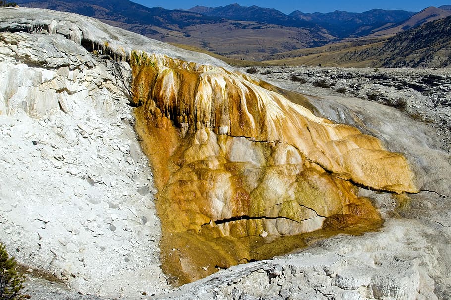 cupid spring, mammoth, hot, springs, yellowstone, national HD wallpaper