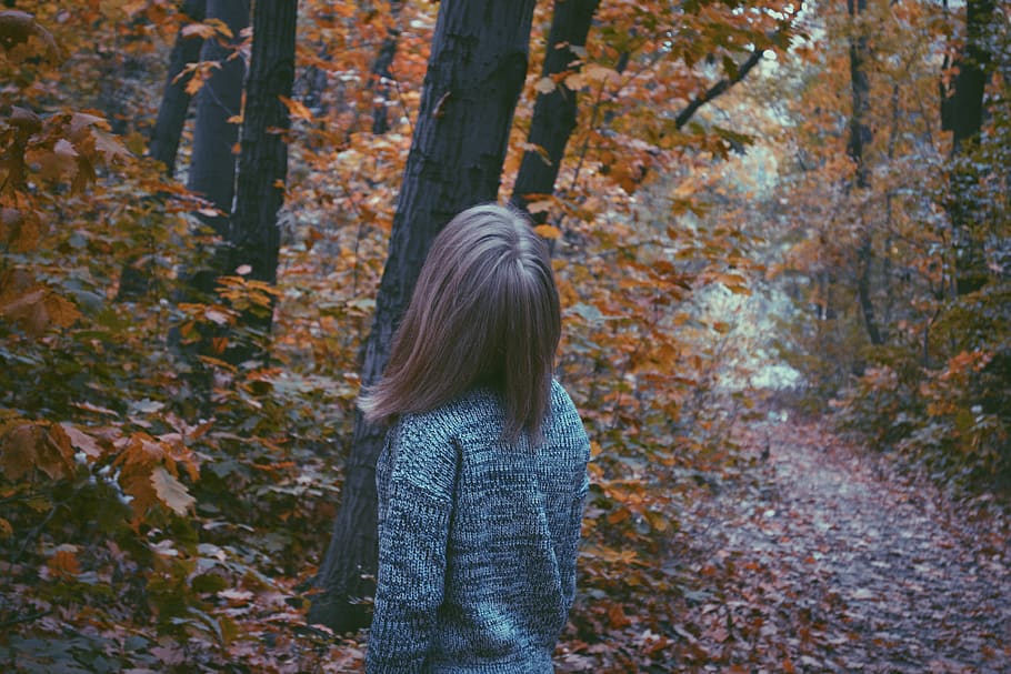 tree, autumn, real people, plant, change, one person, leisure activity HD wallpaper