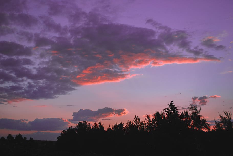 argentina, monte caseros, trees, forest, landscape, sunset HD wallpaper