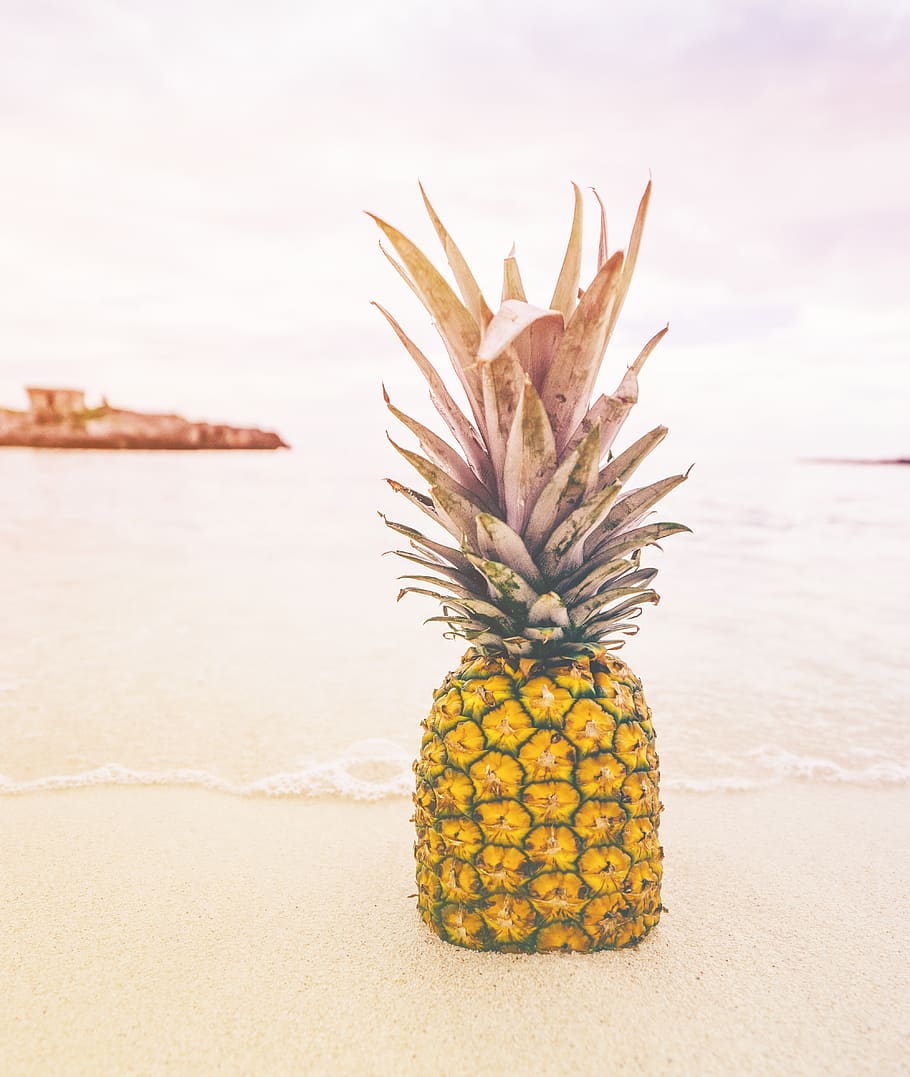 Pineapple at Beach Sand, colors, fruit, shore, sky, tropical fruit HD wallpaper
