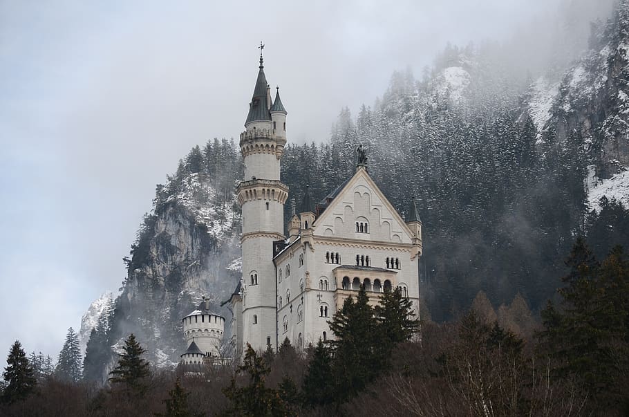 Neuschwanstein Castle, tree, architecture, plant, building exterior HD wallpaper