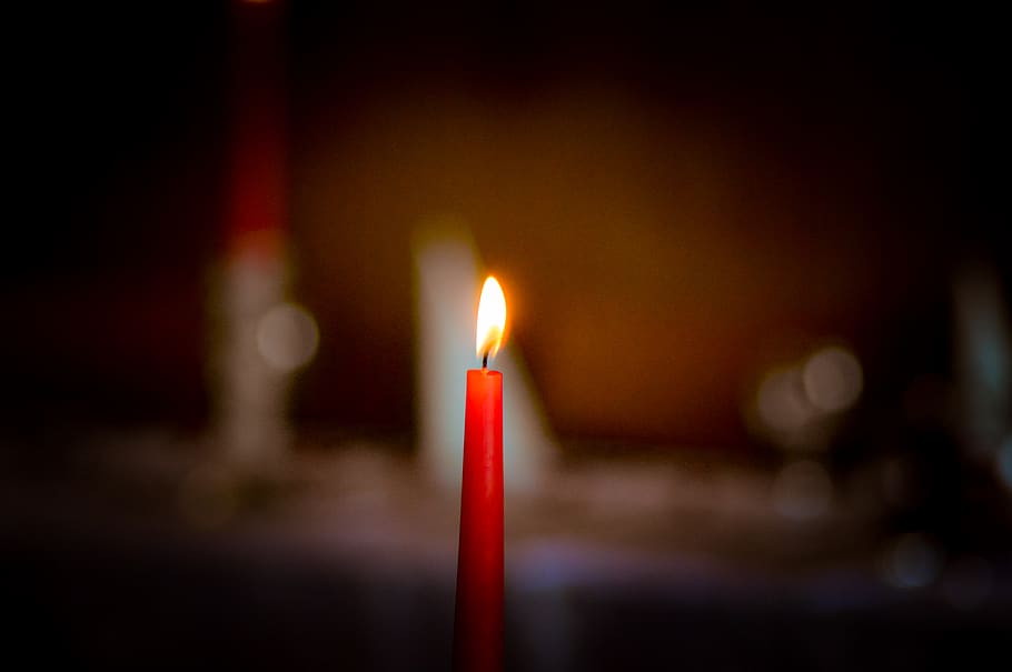 candle, fire, flame, flower, plant, blossom, petal, forge, vigil HD wallpaper