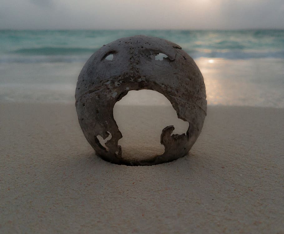 beach, water, sea, sand, land, no people, close-up, sky, nature HD wallpaper