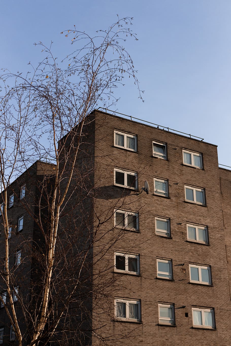 brown building beside leafless tree during daytime, building exterior HD wallpaper