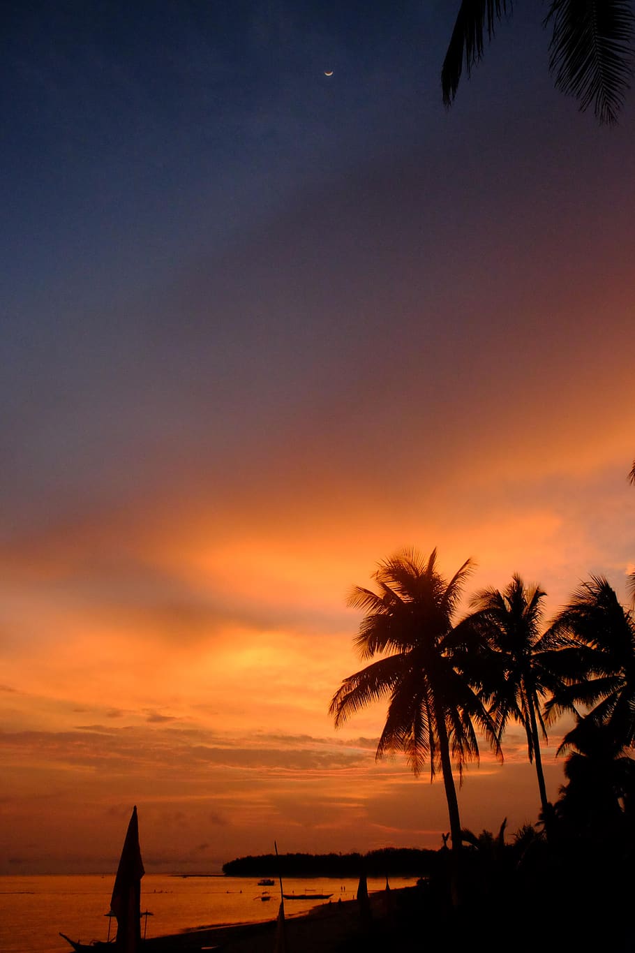 sunset, beach, sea, sky, palm tree, tropical climate, silhouette HD wallpaper