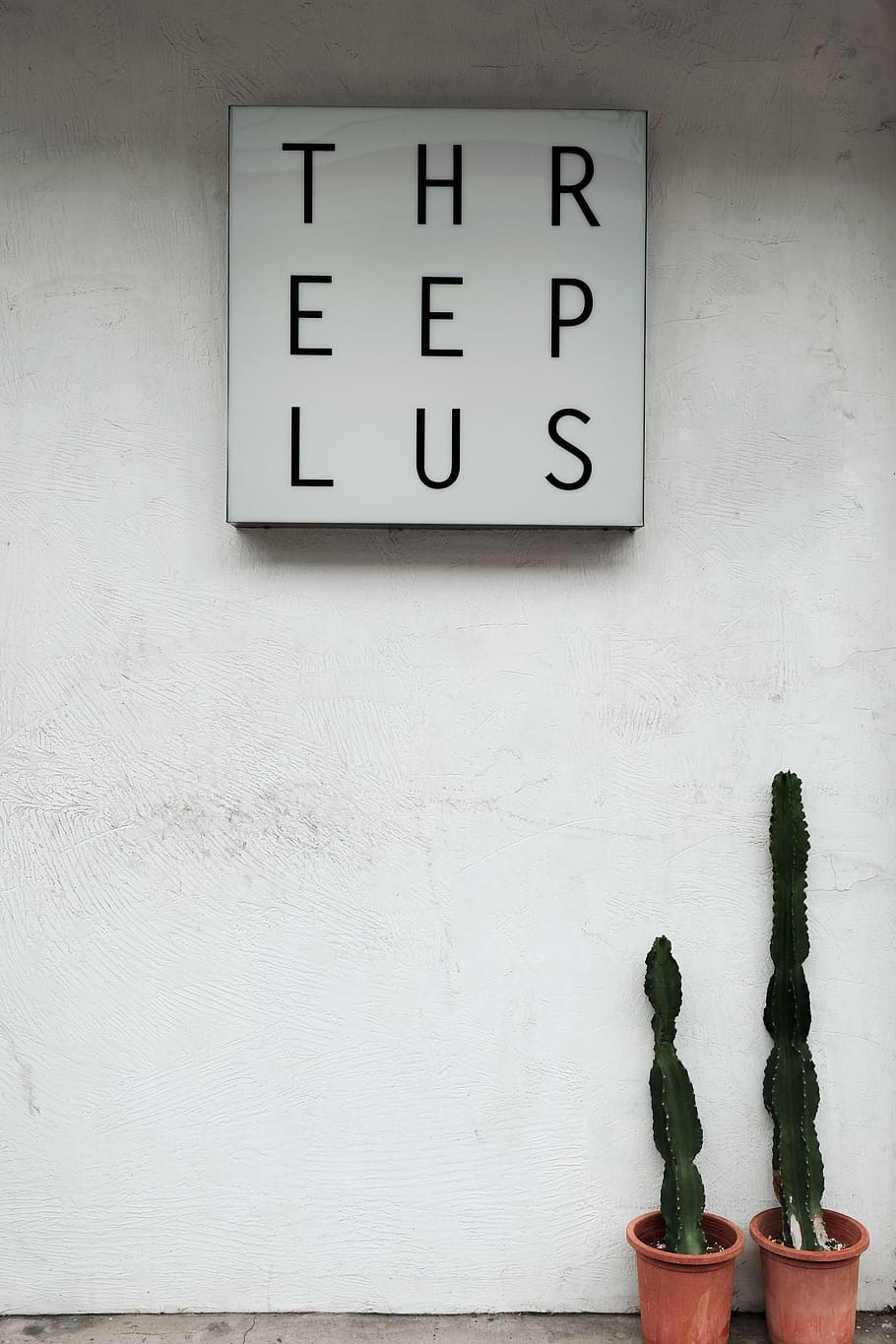 two cactus plants, wall - building feature, number, built structure HD wallpaper