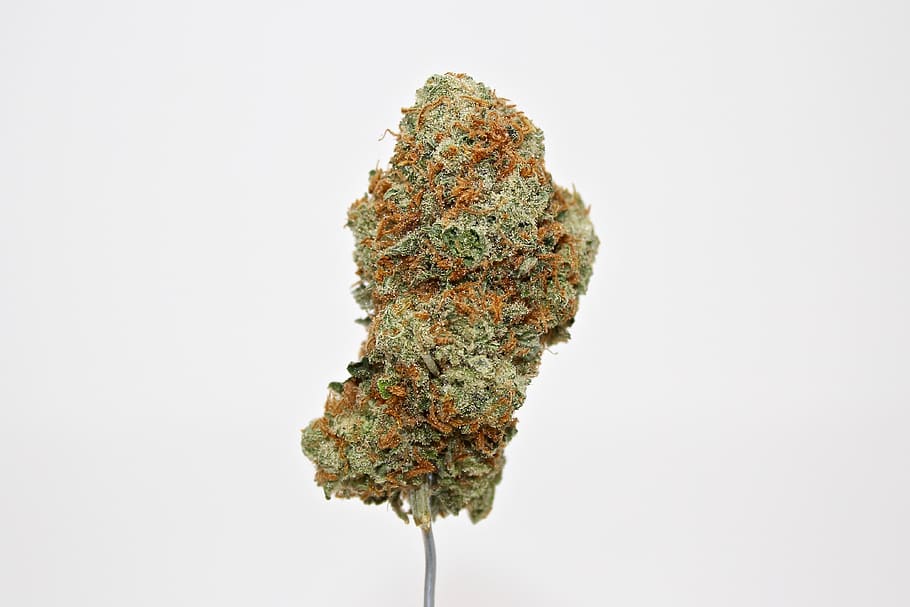 weed, cannabis, marijuana, dank, ganja, thc, stoner, smoke, HD wallpaper