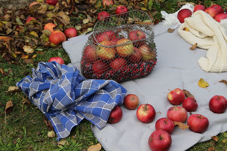 sad, fruit, apple, vitamins, meadow, garden, red, fresh, health HD wallpaper