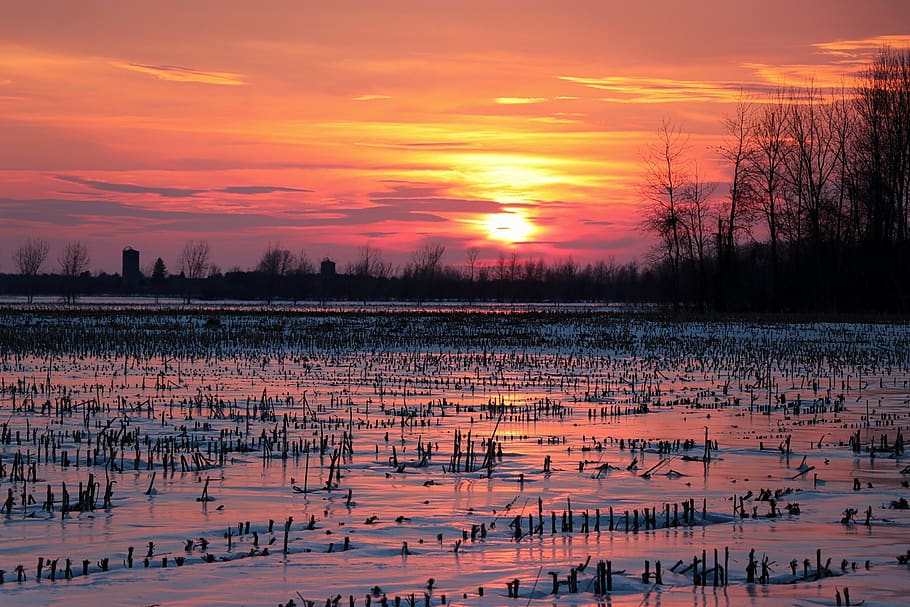 twilight, sunset, landscape, evening, calm, scene, zen, sky HD wallpaper