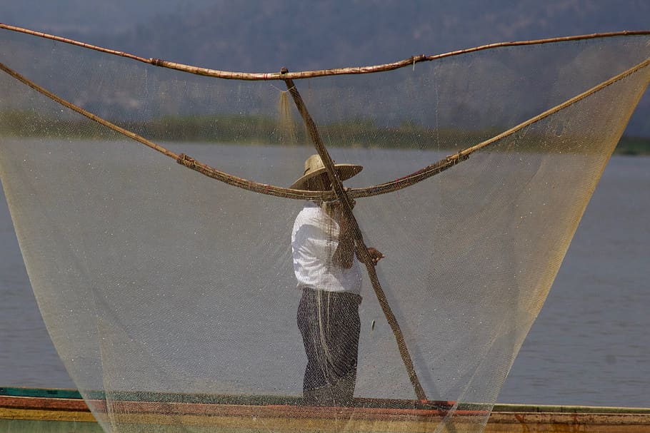 mexico, morelia, work, lake, man, fish, water, one person, fishing net HD wallpaper