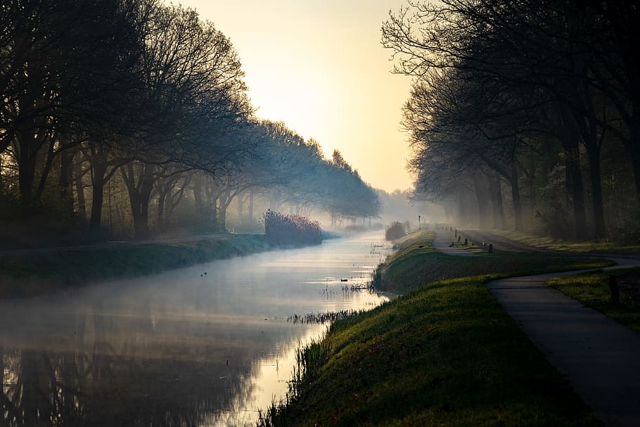 light, road, dawn, landscape, canal, daylight, environment, fall HD wallpaper