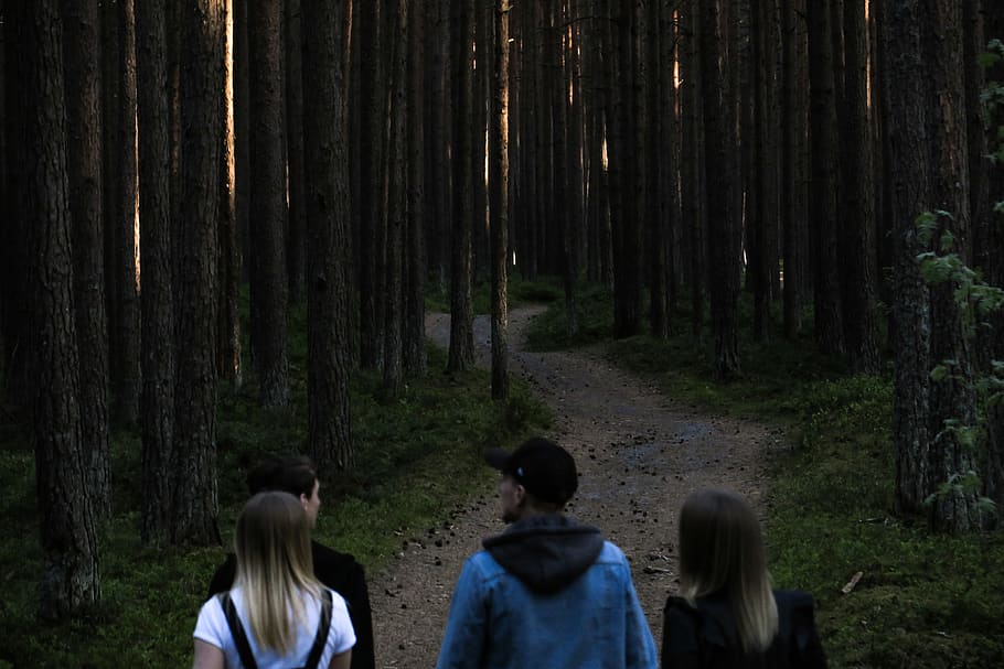 latvia, bernāti, evening, forest, friends, tree, land, real people HD wallpaper
