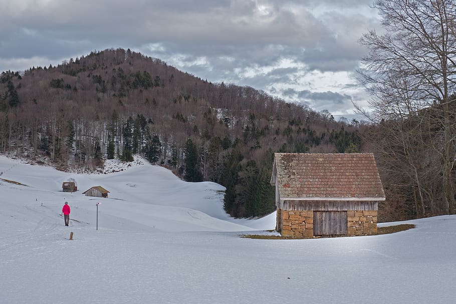 scale, tool shed, hut, snow, agriculture, commercial building HD wallpaper