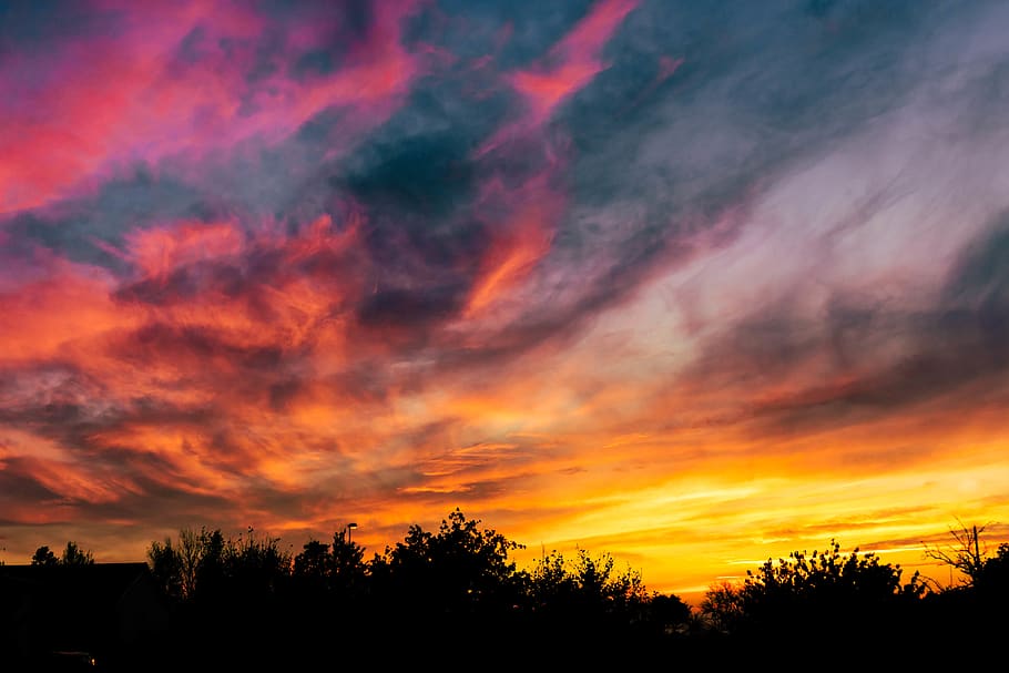 gold, hour, blue, textures, sunset, tree, cloud, pink, yellow HD wallpaper