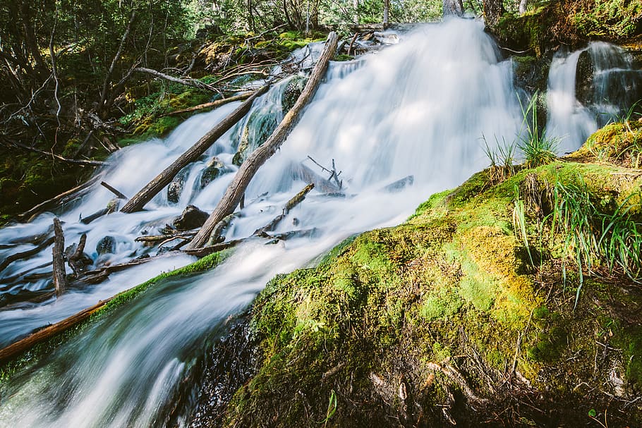 banff, waterfall, long exposure, moss, river, tree, forest HD wallpaper