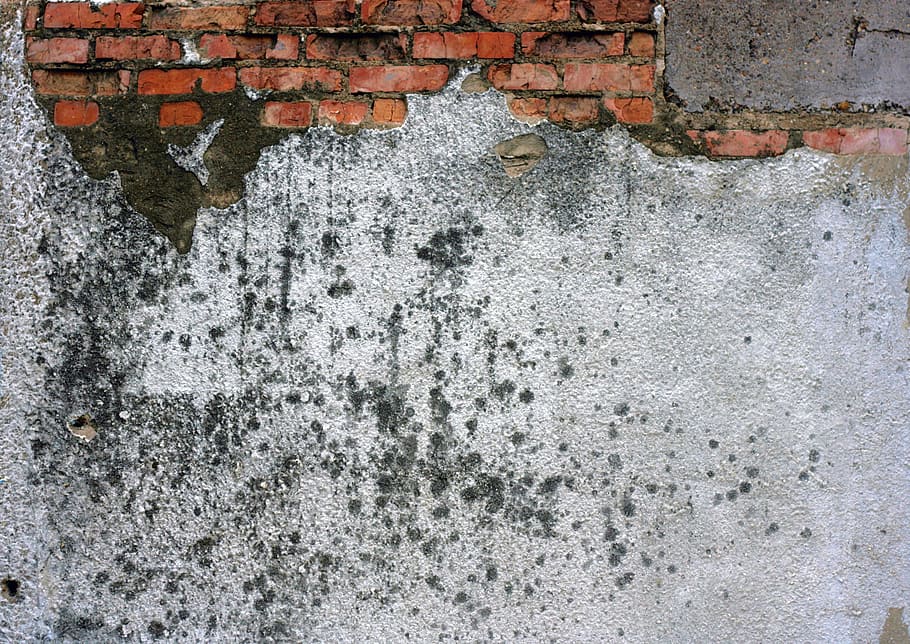 wall, texture, background, close-up, concrete, dirty, exterior HD wallpaper